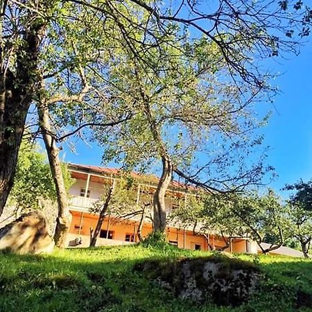 Mushkudiani Manor Hotel Mestia Ngoại thất bức ảnh