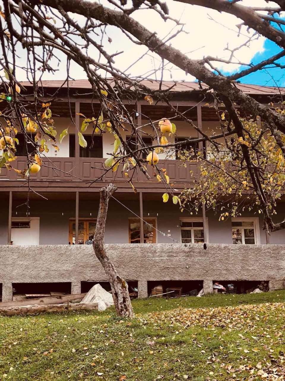 Mushkudiani Manor Hotel Mestia Ngoại thất bức ảnh