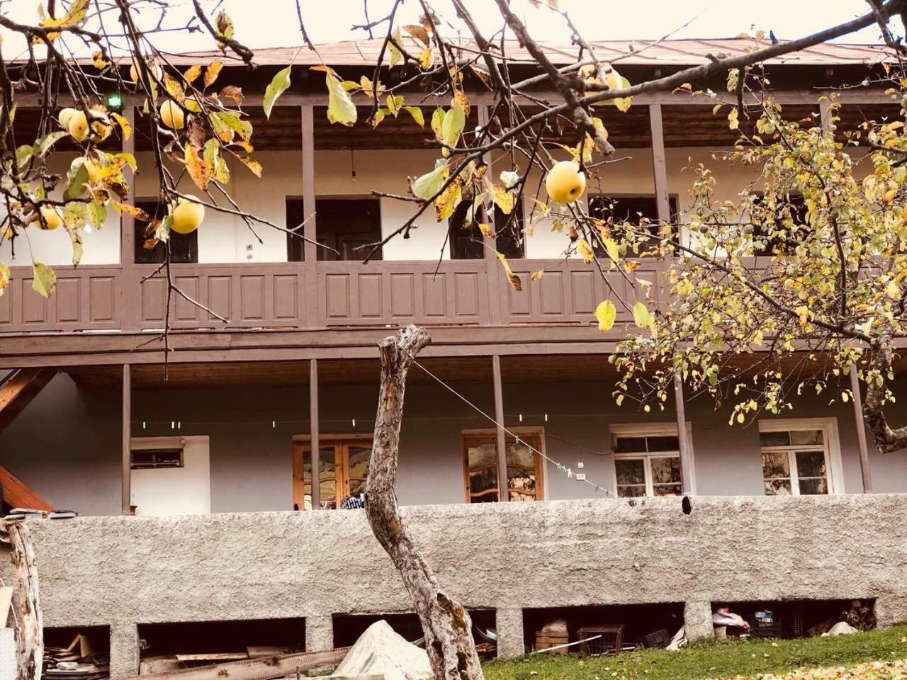 Mushkudiani Manor Hotel Mestia Ngoại thất bức ảnh